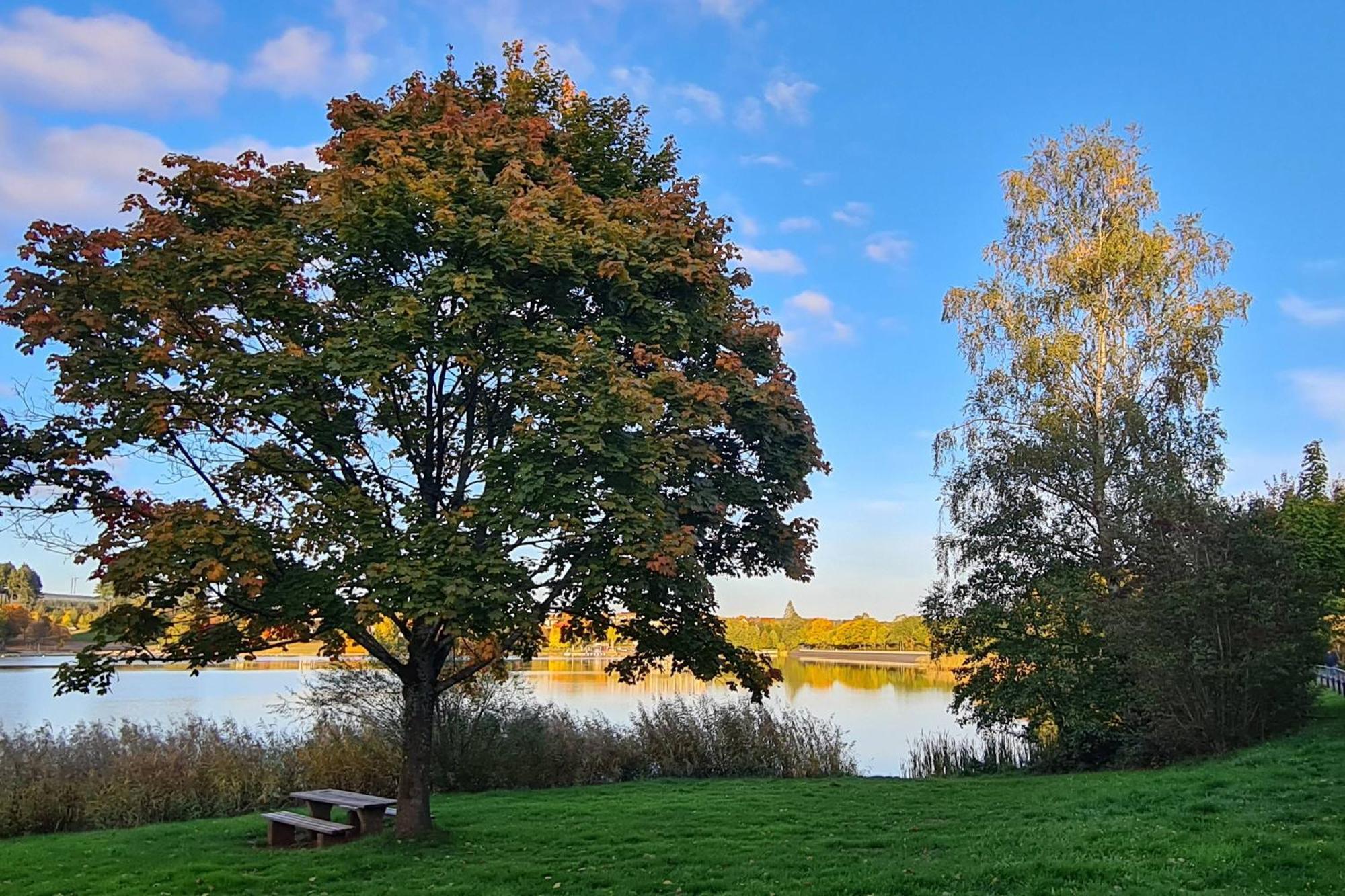 Draussen Am See Losheim Εξωτερικό φωτογραφία