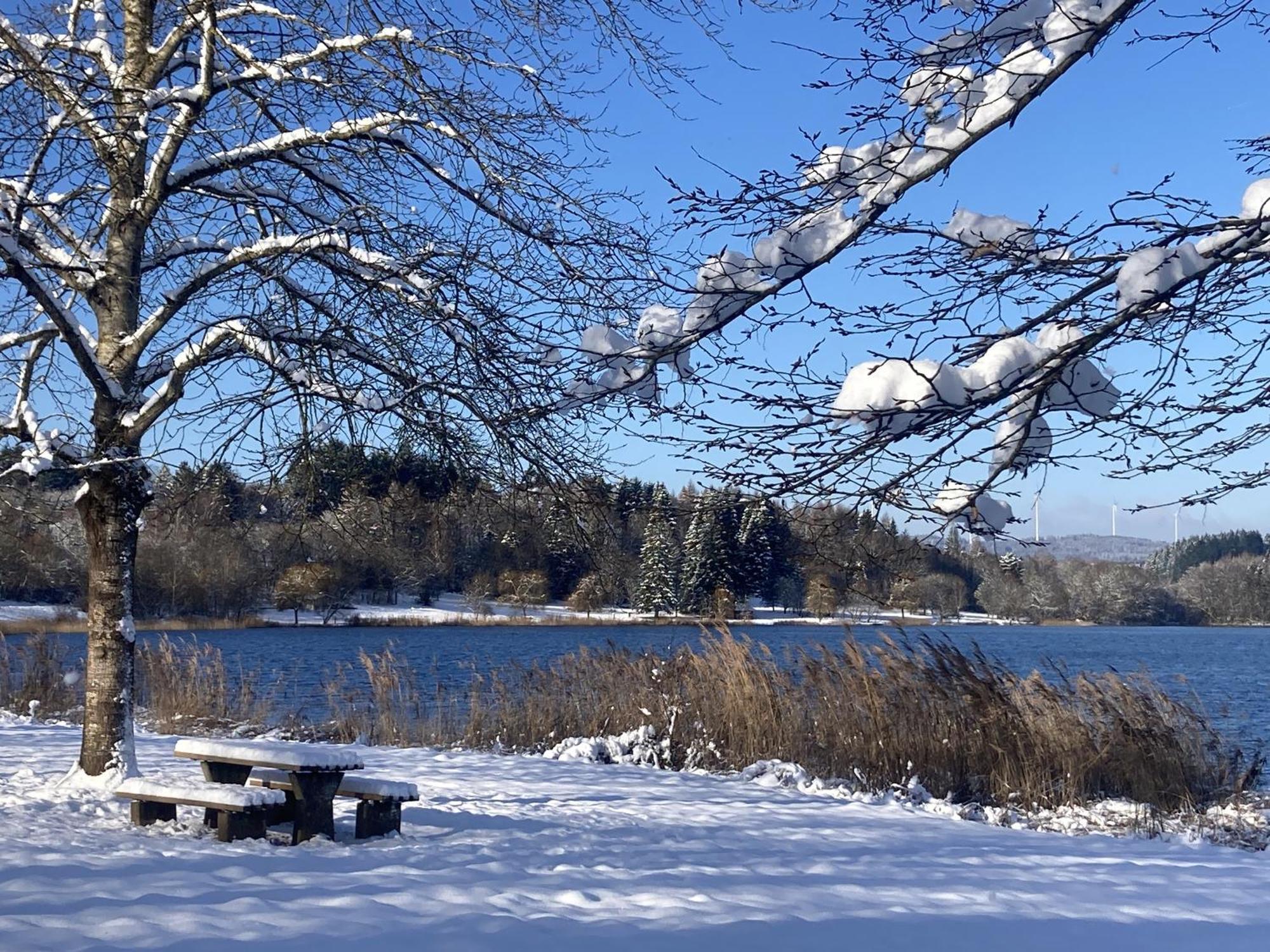 Draussen Am See Losheim Εξωτερικό φωτογραφία